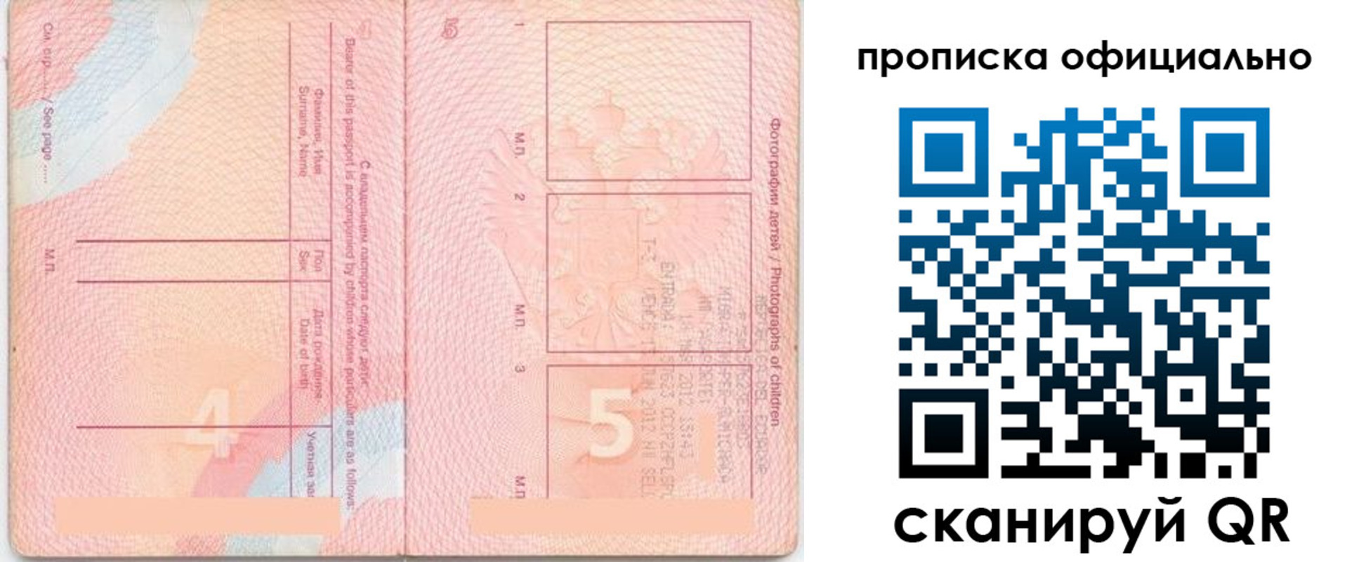прописка для школы в Камчатской области