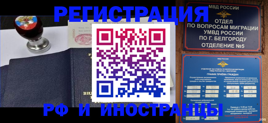 временная регистрация поиск в Камчатской области
